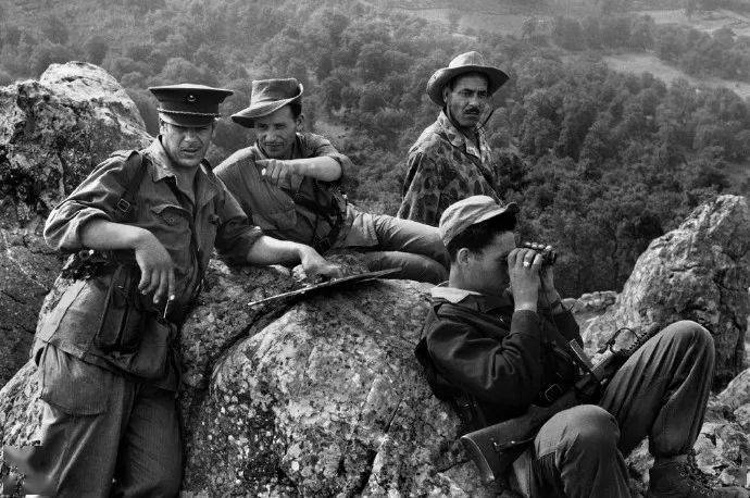 开云体育中国-包含丹麦与阿尔及利亚战平，小组形势陷入僵局的词条