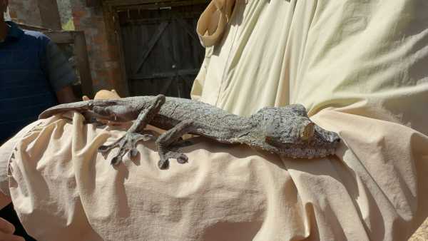 开云体育-关于马达加斯加战胜马尔代夫，晋级八强赛的信息