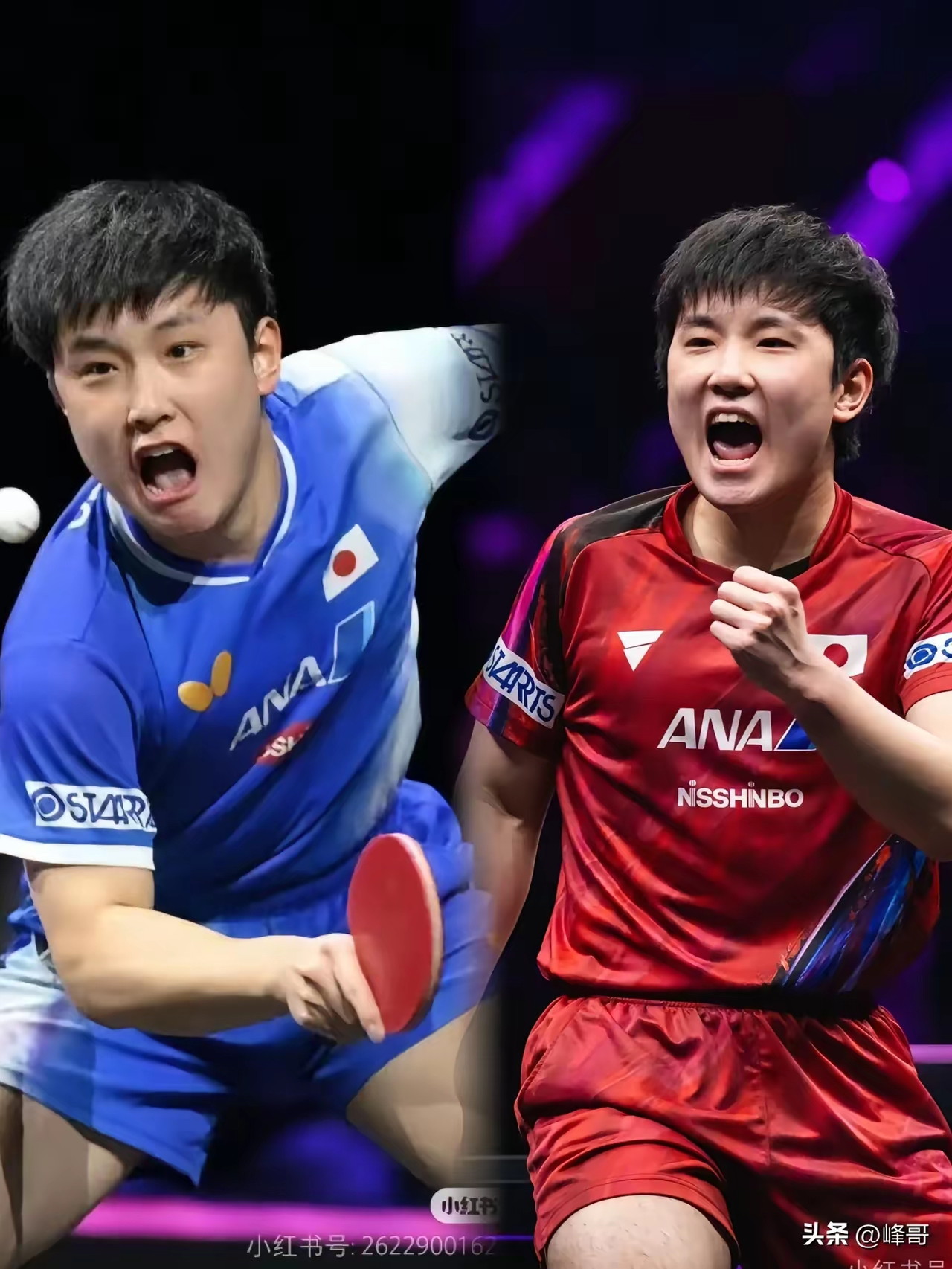 瑞典队轻取波兰队,张本智和带队取胜的简单介绍 瑞典队轻取波兰队,张本智和带队取胜的简单介绍